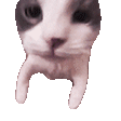 jerma985