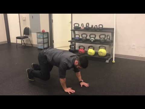 Bear Crawl