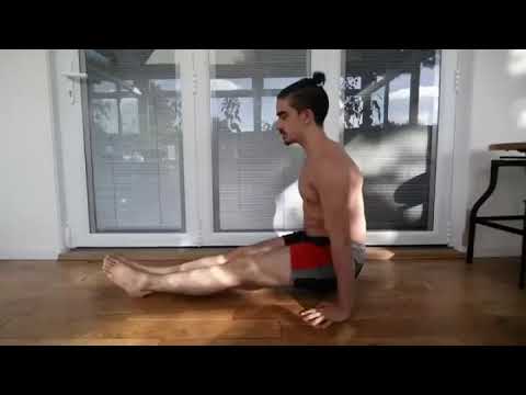 L-Sit (Single-Leg Foot-Supported)