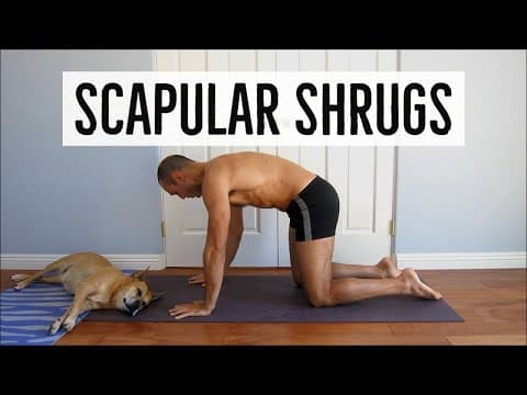 Scapular Shrug