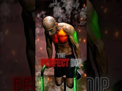 Dip (Parallel Bar)