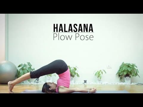Plow Pose