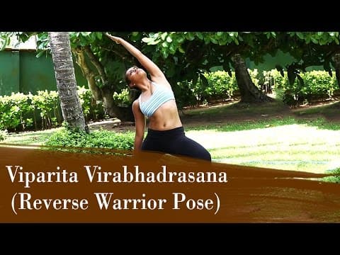 Reverse Warrior