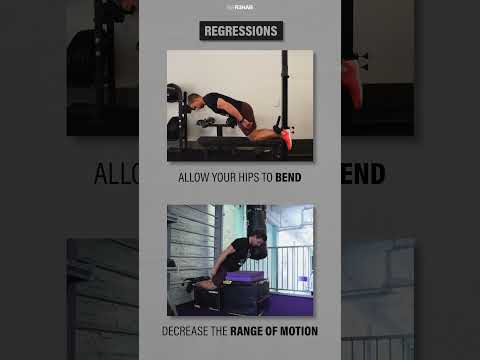 Nordic Hamstring Curl